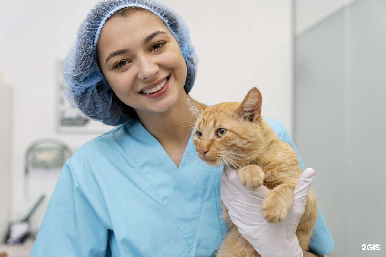 Отзывы на компанию Багира в г. Екатеринбург c фото