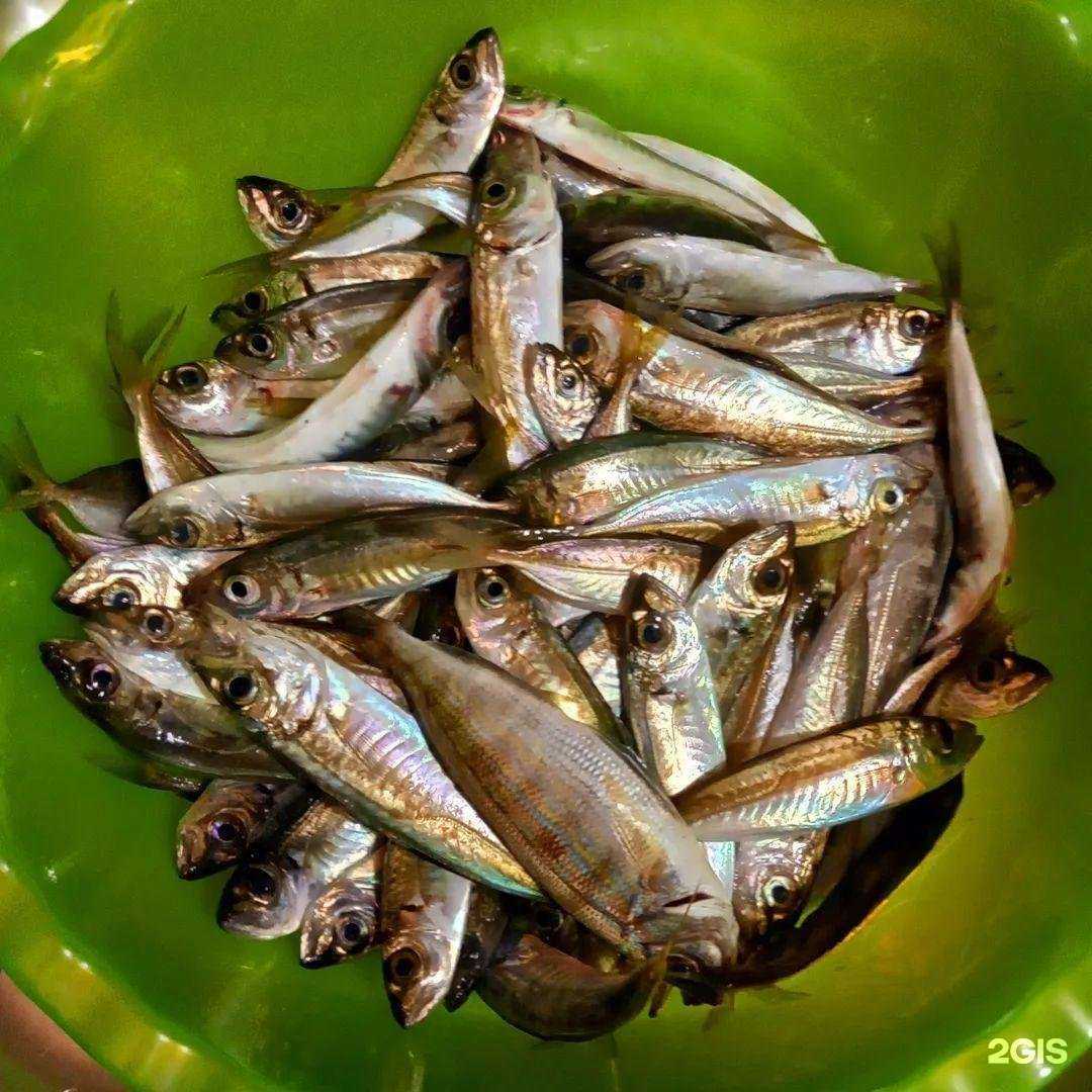 Отзывы на компанию Petrenko real estate consulting в Сочи c фото