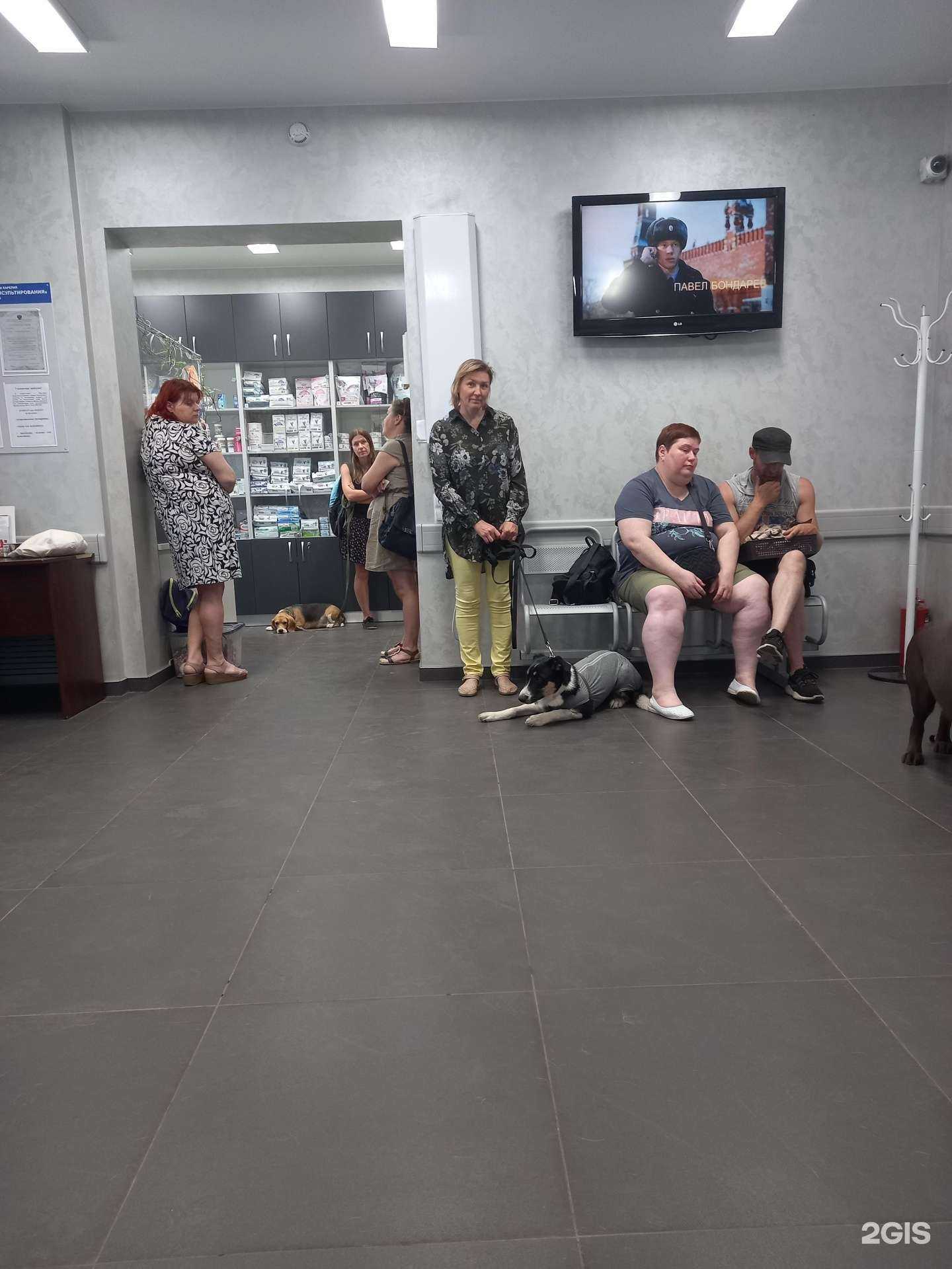 Отзывы на компанию Республиканский центр ветеринарии и консультирования в Петрозаводске c фото