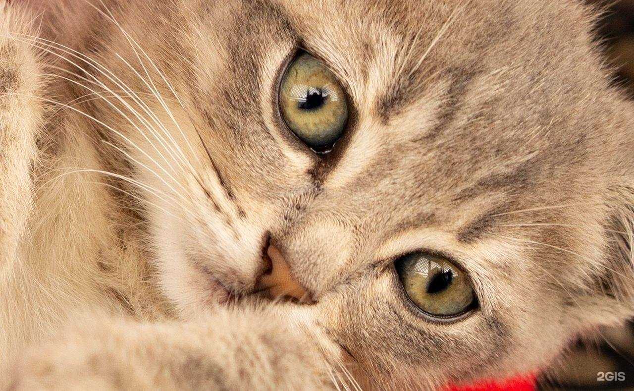 Отзывы на компанию Новолипецкий в г. Липецк c фото