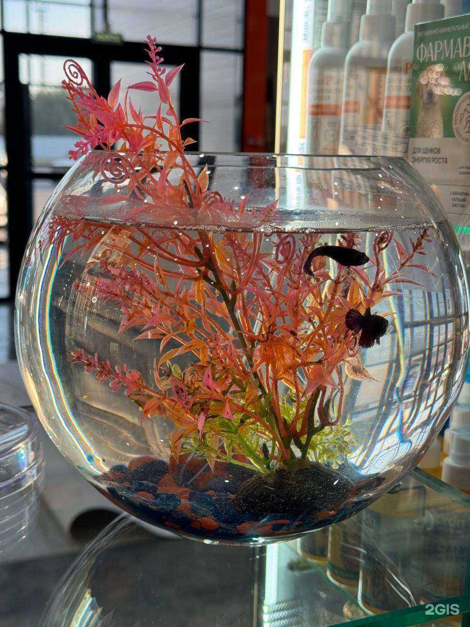 Отзывы на компанию Лабрадор в Стерлитамаке c фото