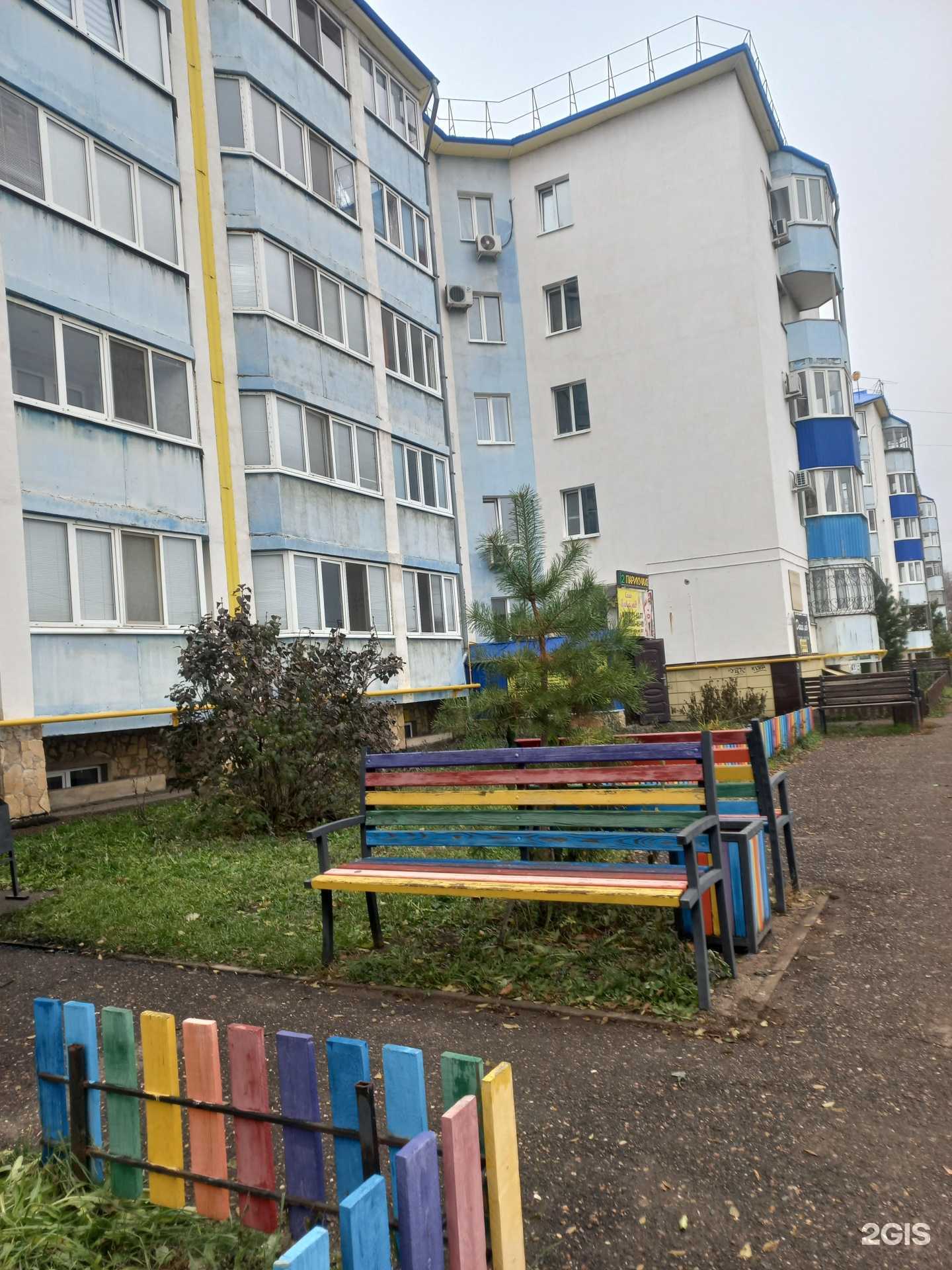 Отзывы на компанию Кактус в Оренбурге c фото - фотография 2 из 2