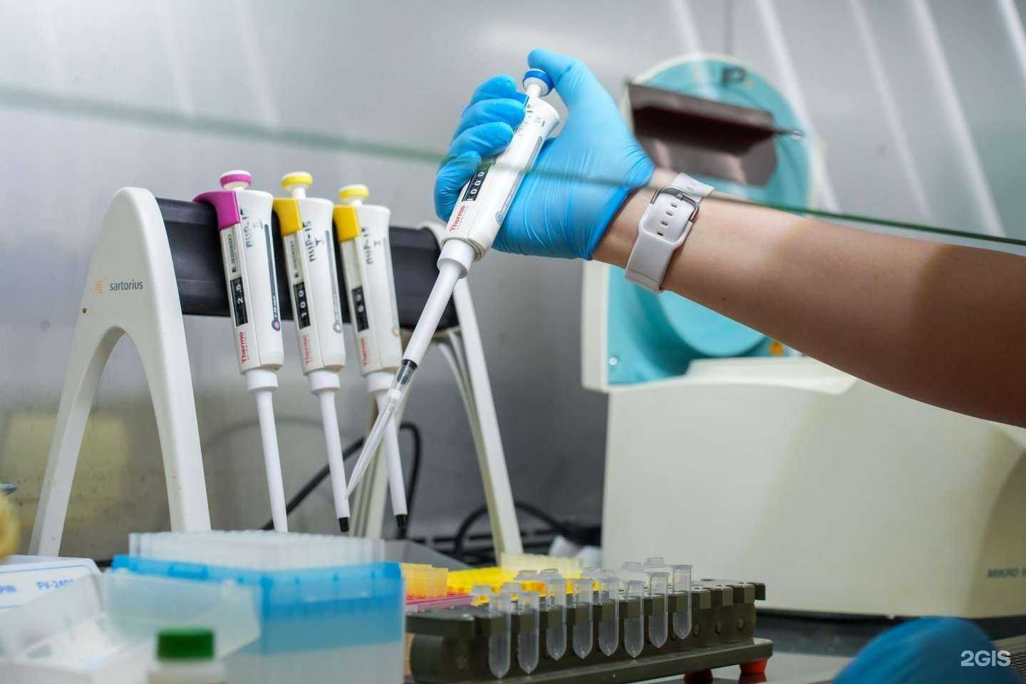 Отзывы на компанию Анализы.рф в Пушкине c фото