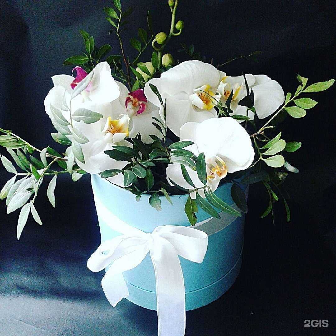 Отзывы на компанию Красивый букет в г. Кострома c фото