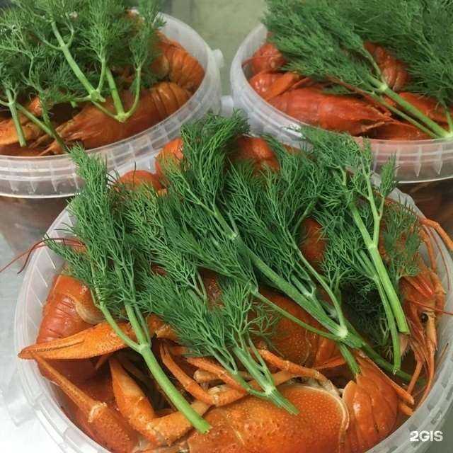 Отзывы на компанию Раки163 в г. Тольятти c фото