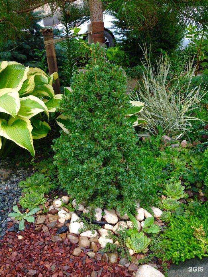 Отзывы на компанию Gardenpark56 в г. Оренбург c фото