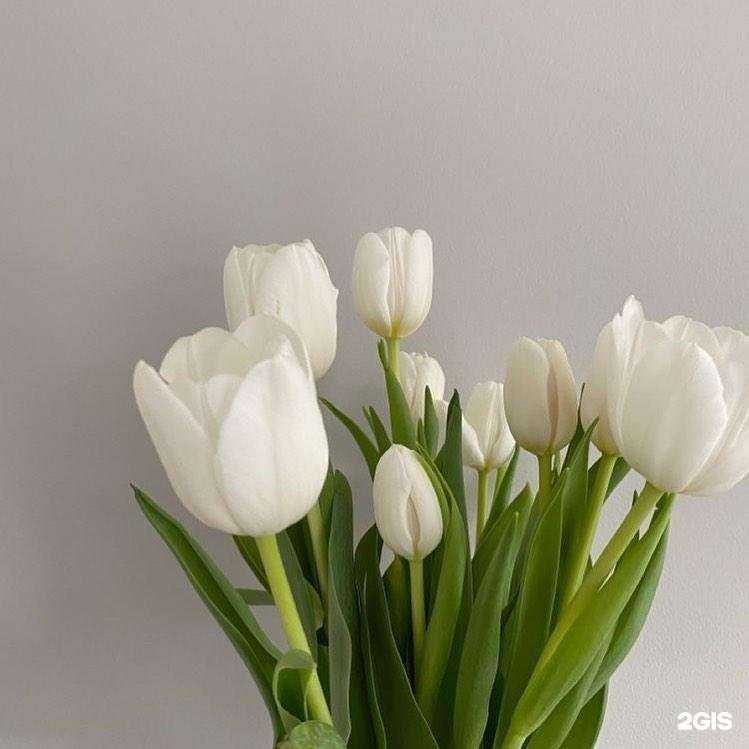 Отзывы на компанию Вертиго в Челябинске c фото