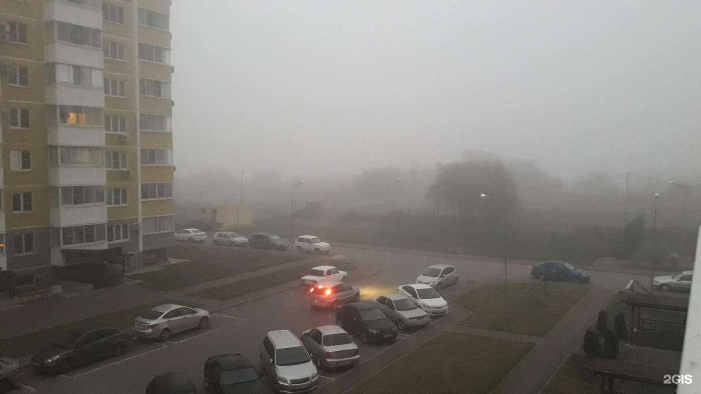 Отзывы на компанию Студия наращивания ресниц и архитектуры бровей в Краснодаре c фото - фотография 2 из 2