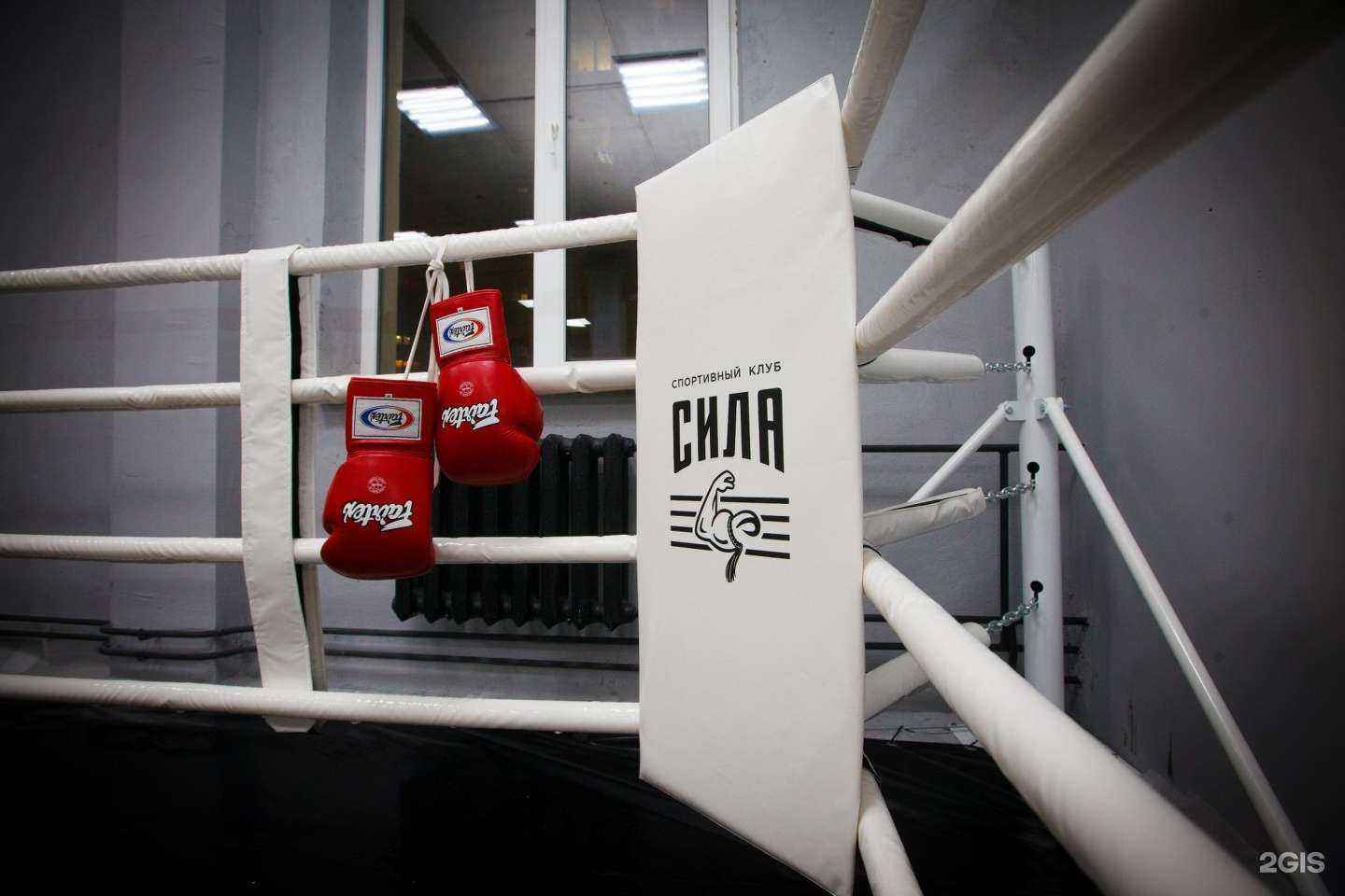 Отзывы на компанию Сила в г. Уфа c фото