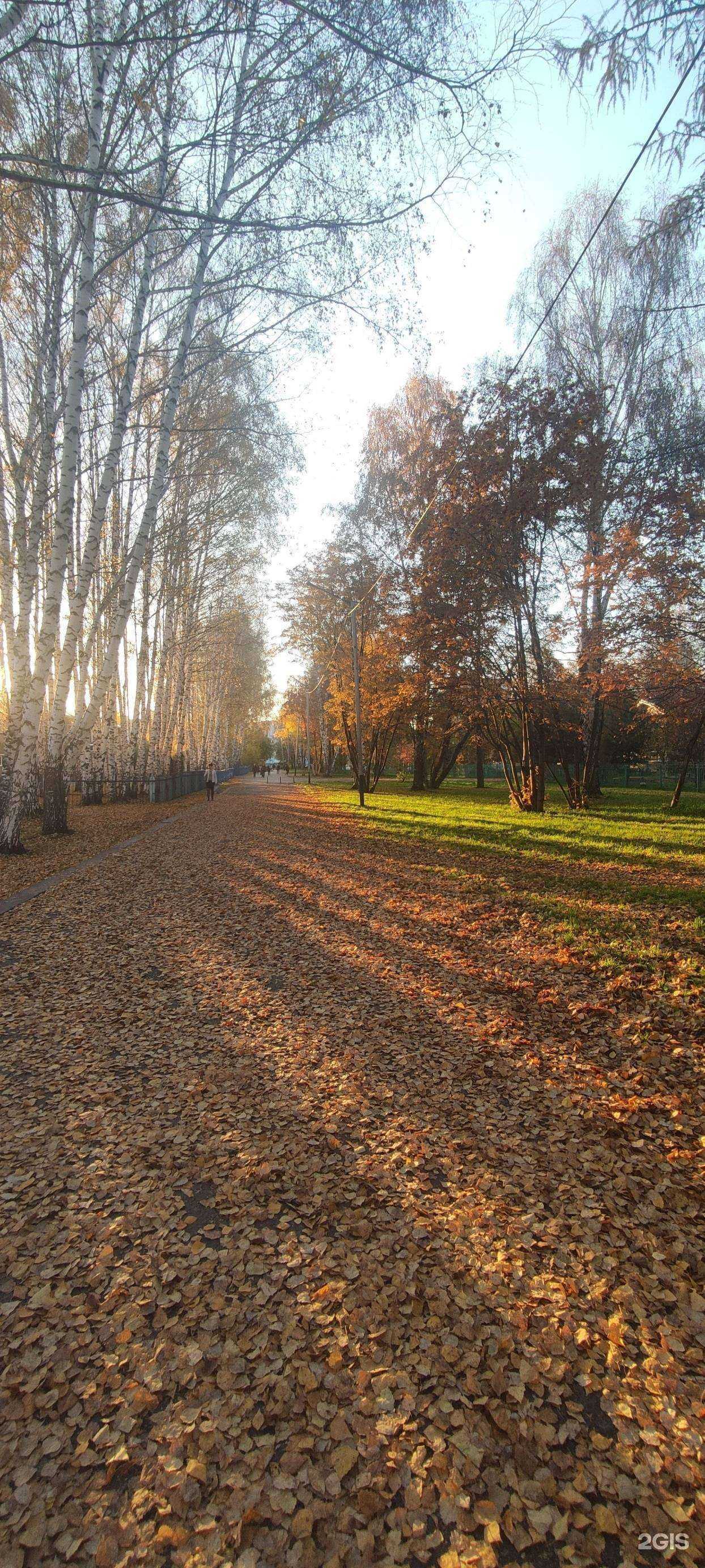 Отзывы на компанию Средняя школа №32 в г. Прокопьевск c фото