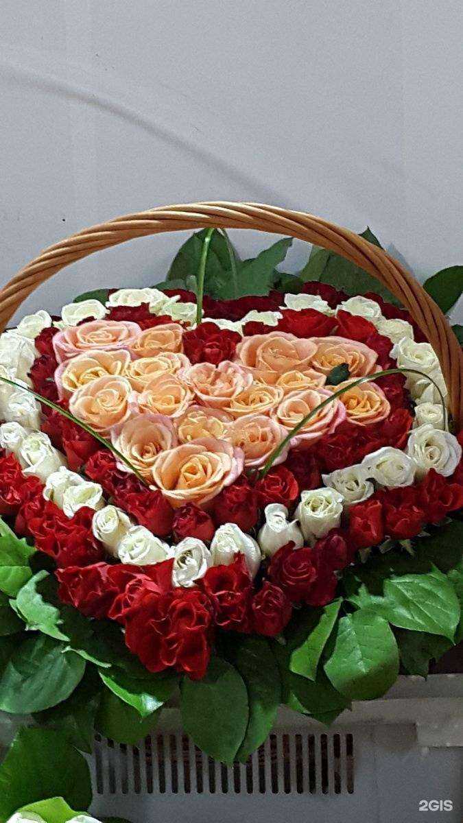 Отзывы на компанию Весна в г. Рязань c фото