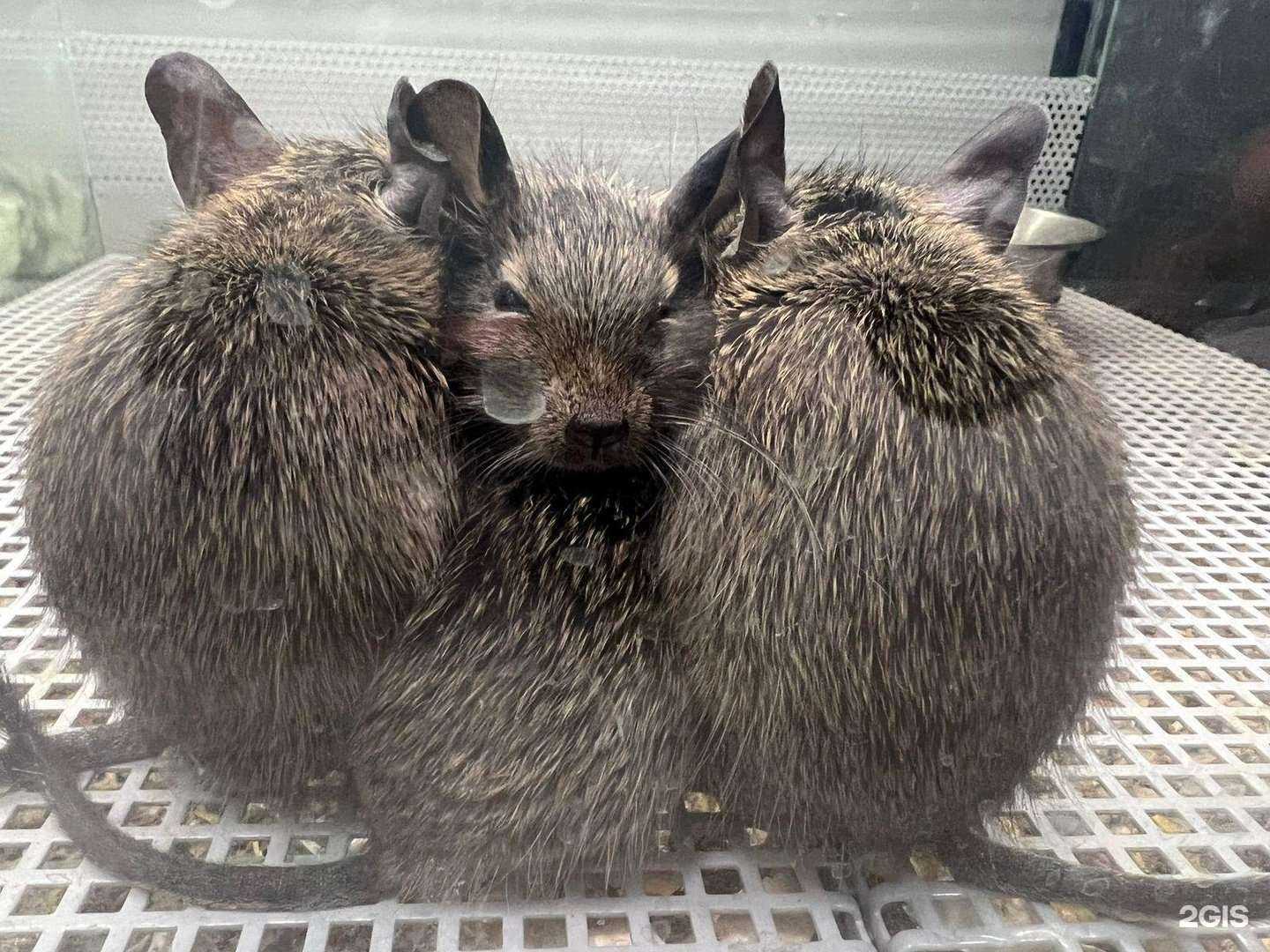 Отзывы на компанию Аквариум в Апрелевке c фото