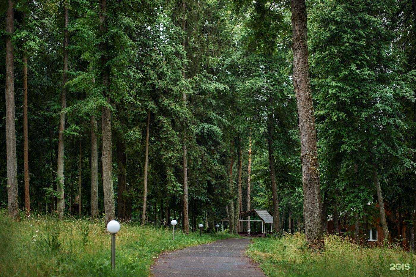 Отзывы на компанию Розендорф в г. Воскресенск c фото