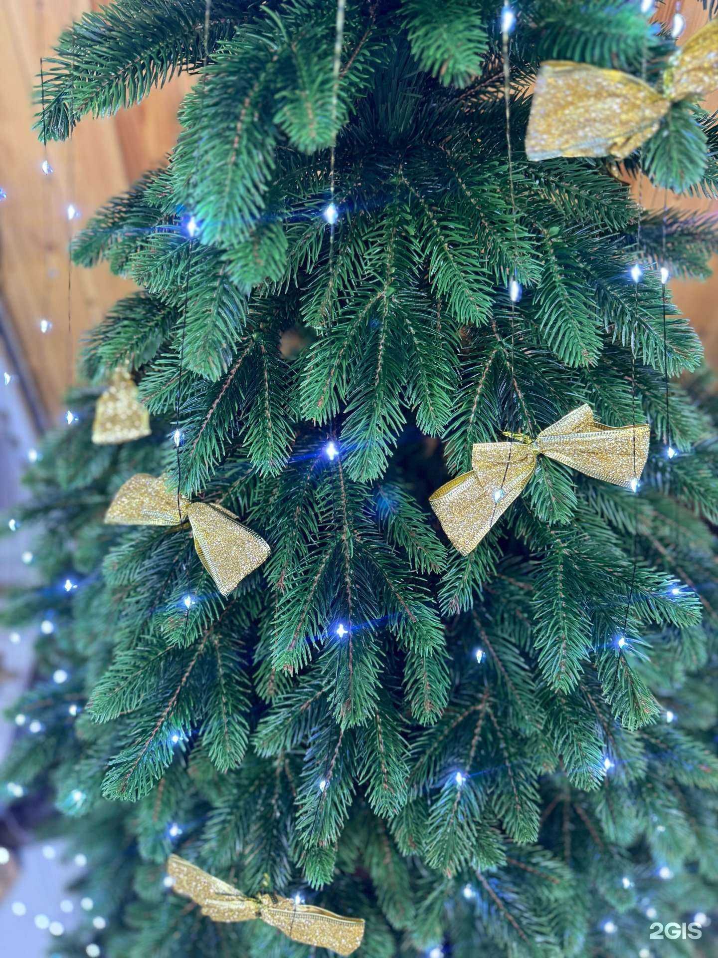 Отзывы на компанию Магазин новогодних товаров в Краснодаре c фото