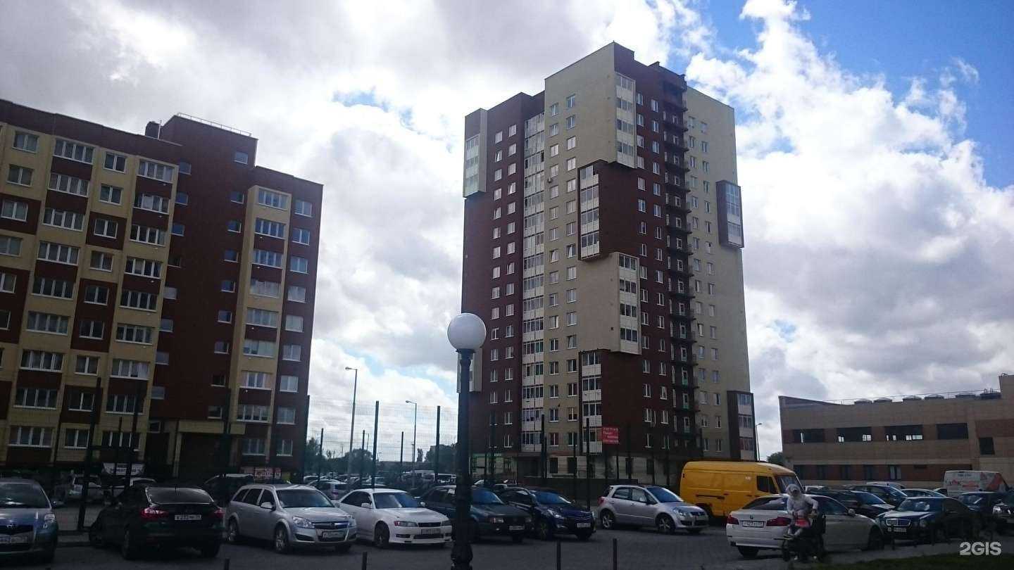 Отзывы на компанию Golden Lady в Калининграде c фото - фотография 2 из 2