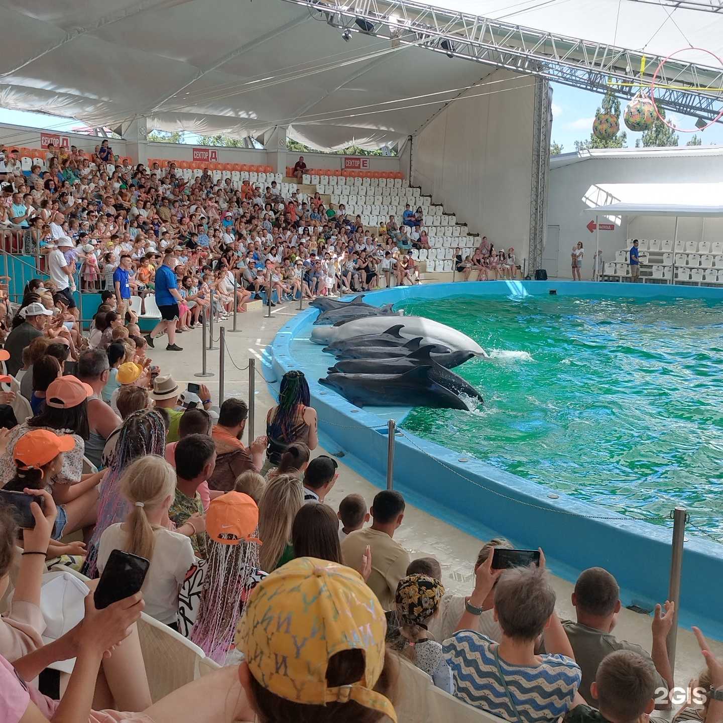 Отзывы на компанию Анапский дельфинарий в Анапе c фото - фотография 2 из 2