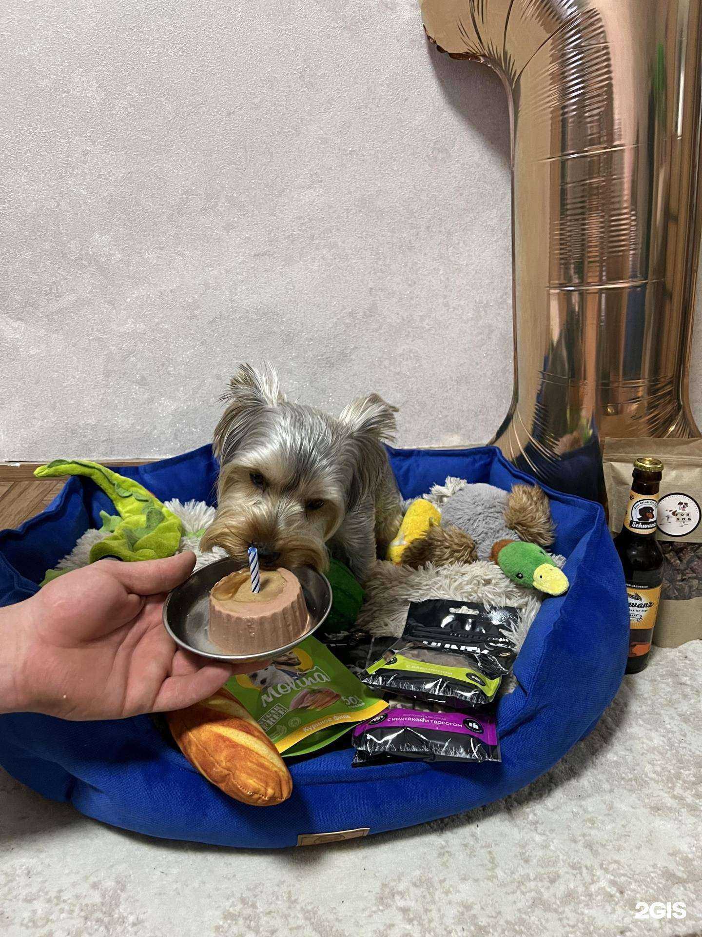 Отзывы на компанию Ан-го в Барнауле c фото