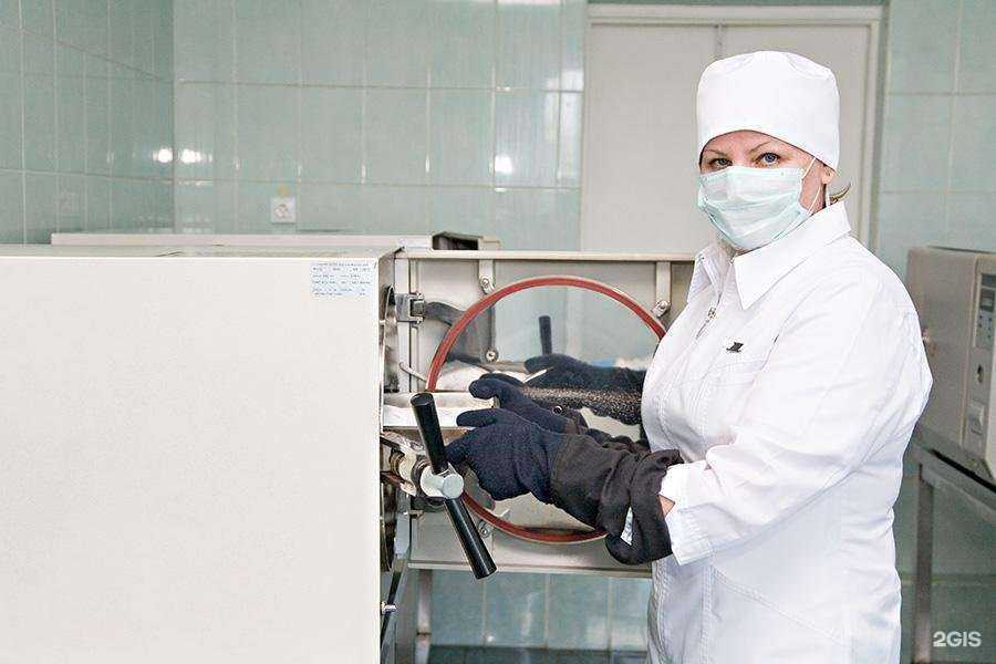 Отзывы на компанию Детская стоматологическая поликлиника №59 в г. Отрадное c фото