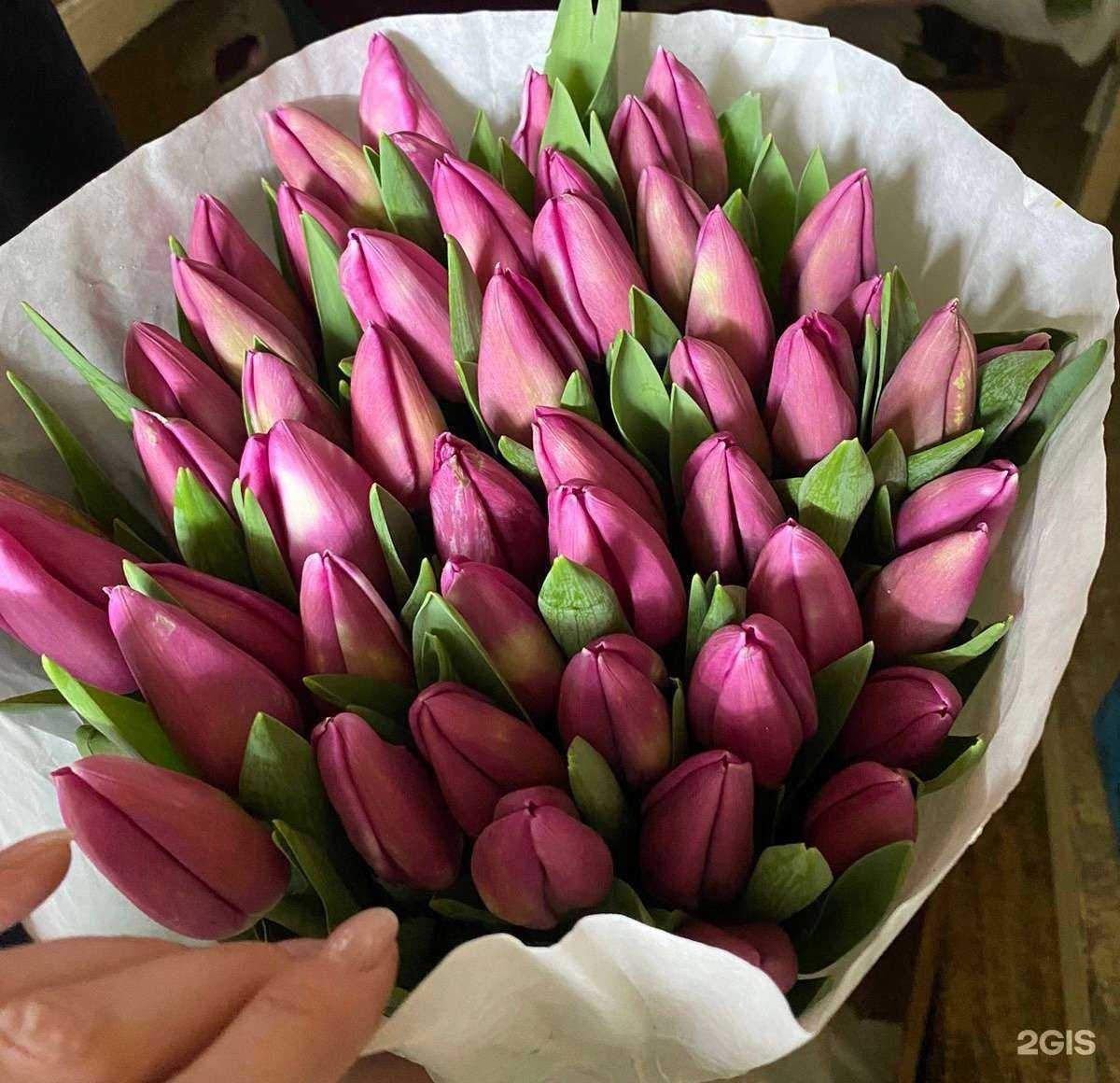 Отзывы на компанию Первая Цветочная в Иркутске c фото