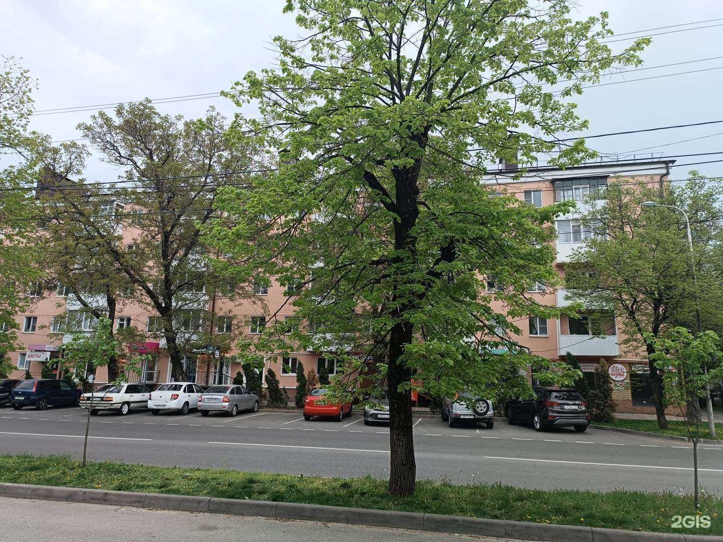 Отзывы на компанию Pro Makeup в Ставрополе c фото - фотография 2 из 2