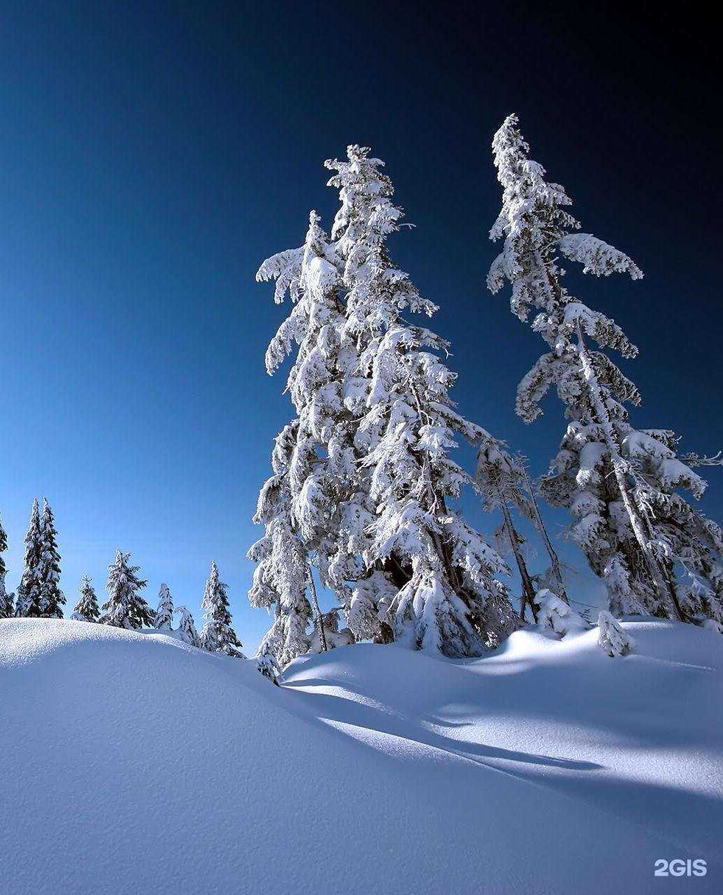 Отзывы на компанию Малахит в Ярославле c фото