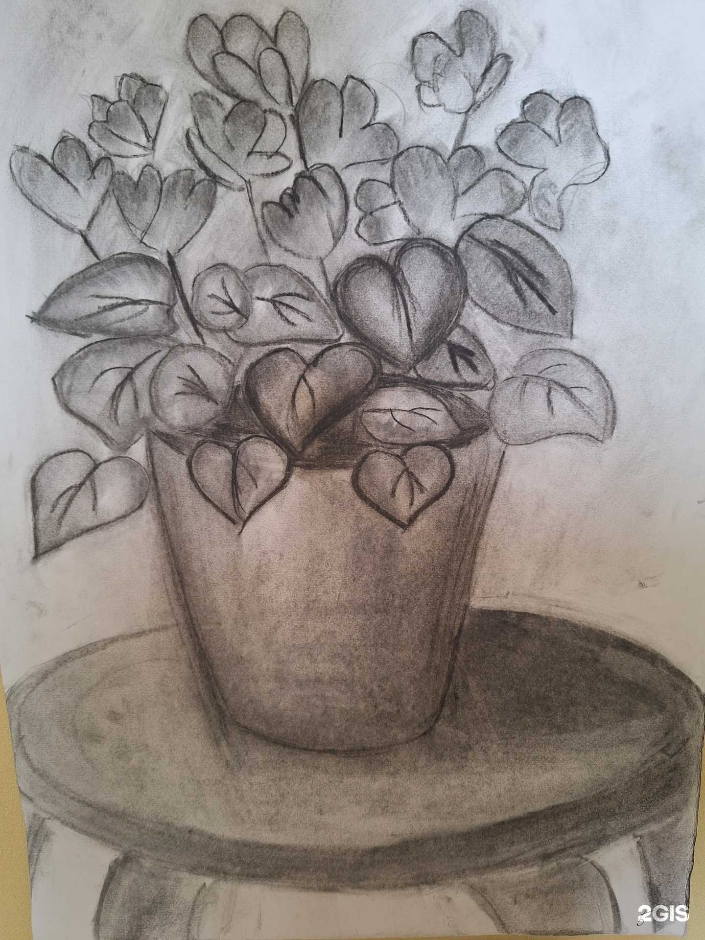 Отзывы на компанию Империя пикчер в г. Краснодар c фото