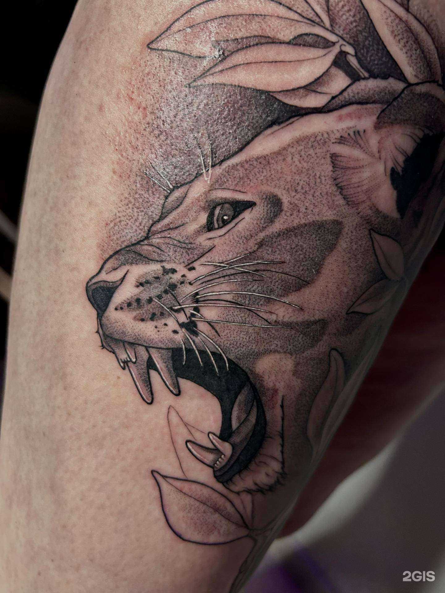 Отзывы на компанию Koval в Твери c фото