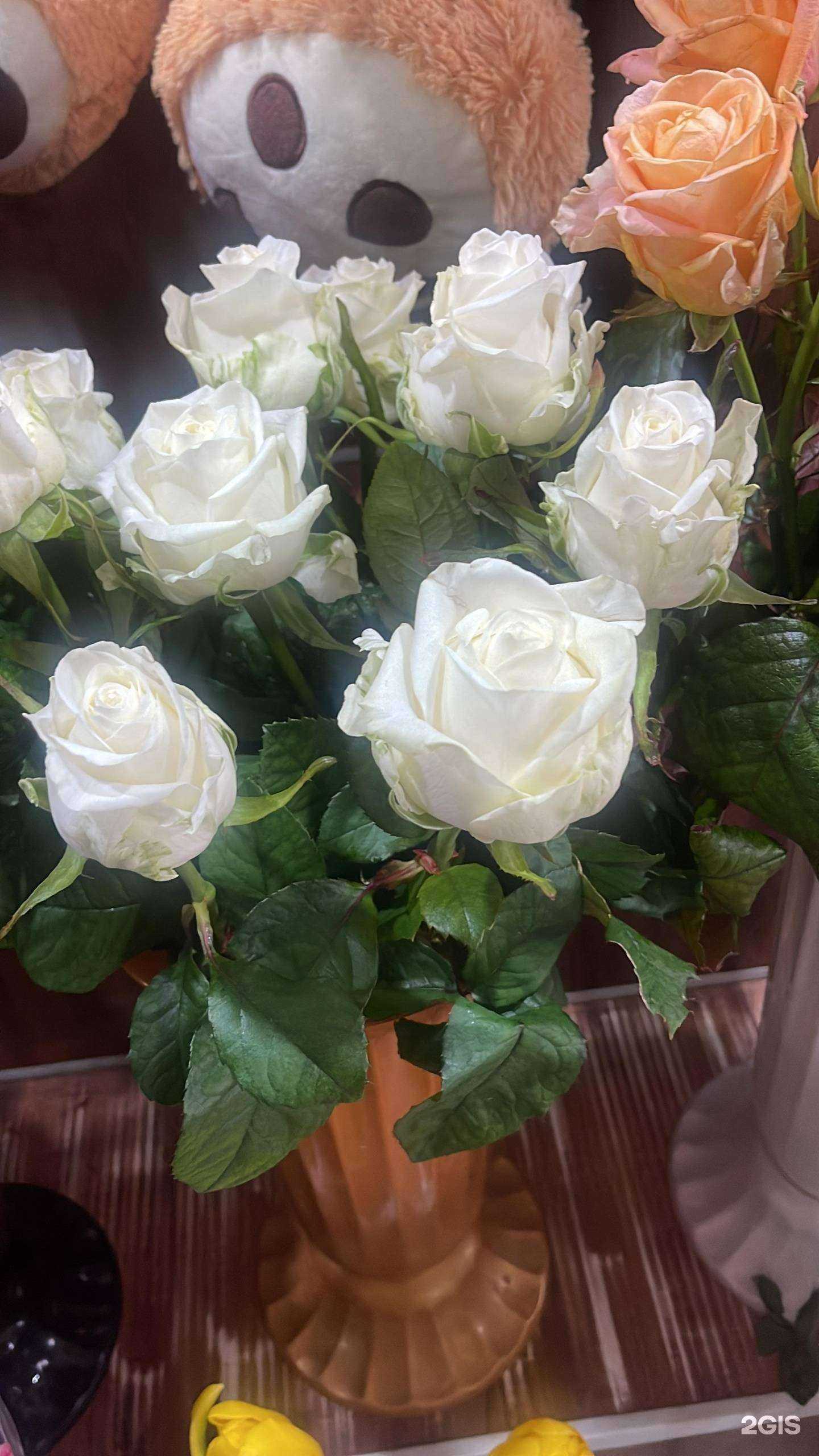 Отзывы на компанию Кармен в г. Приморско-Ахтарск c фото