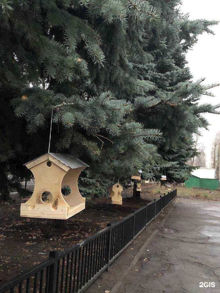 Отзывы на компанию Средняя школа №63 в Липецке c фото