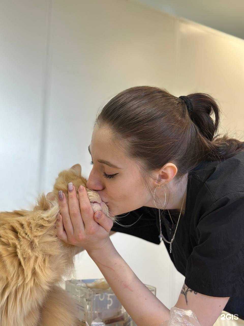 Отзывы на компанию Алис в Тюмени c фото