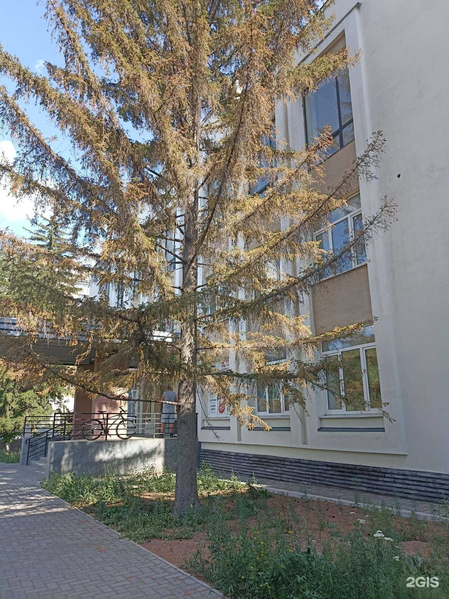 Отзывы на компанию Ляйзат в Орске c фото - фотография 2 из 2