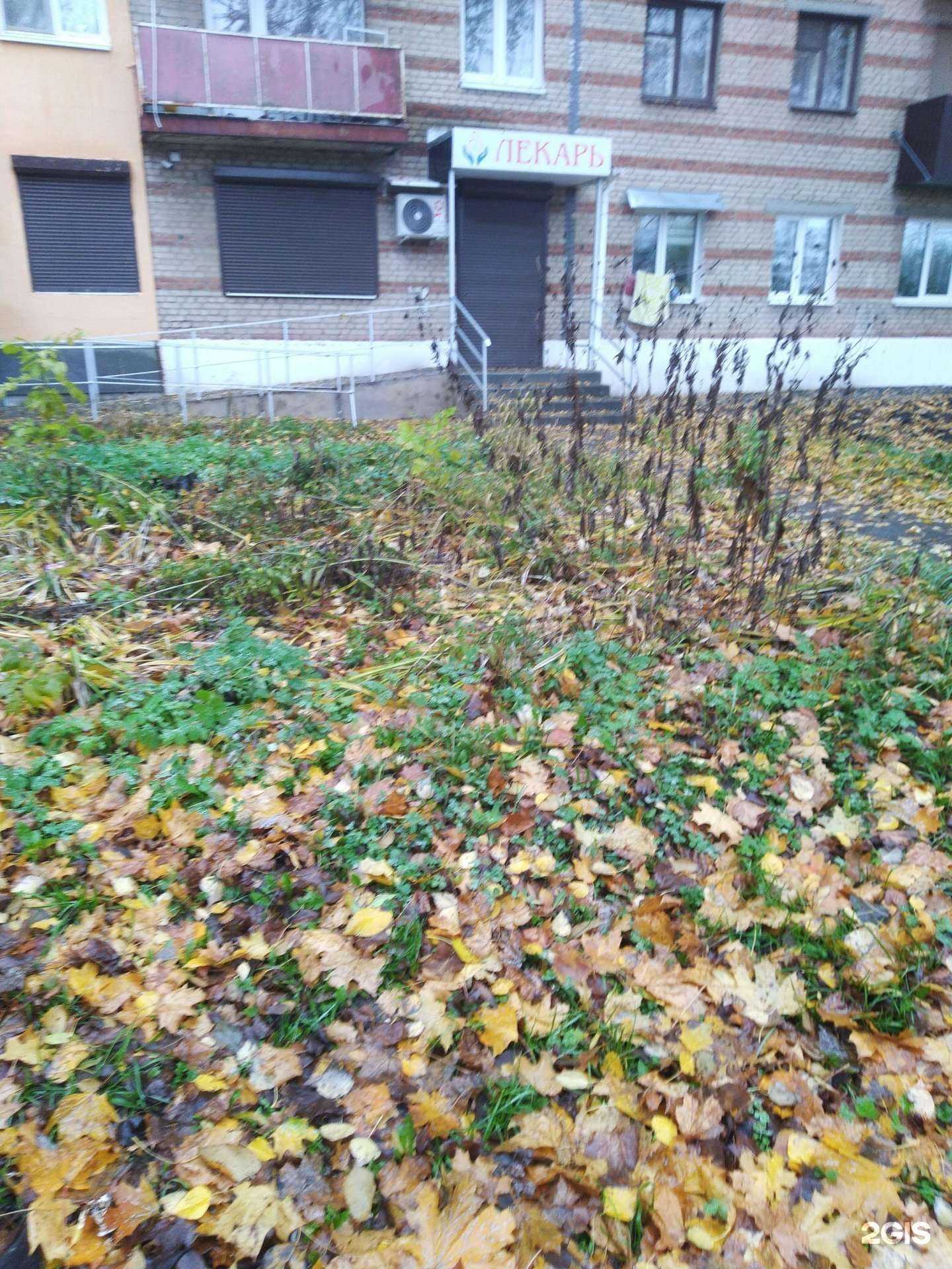 Отзывы на компанию Караван в Тамбове c фото - фотография 2 из 2