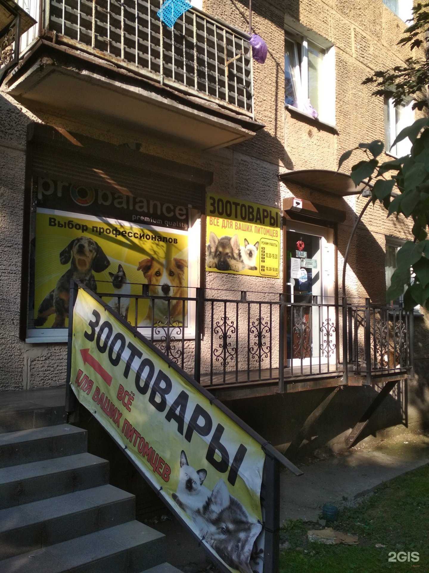 Отзывы на компанию Магазин зоотоваров в Калининграде c фото
