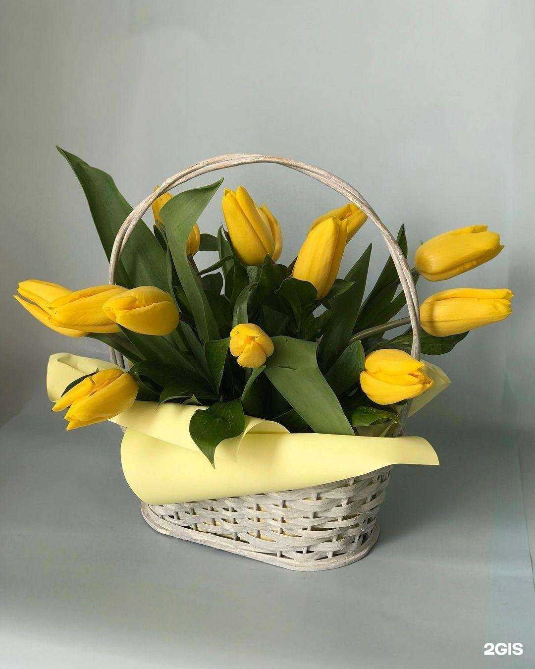 Отзывы на компанию Мир экзотики в г. Махачкала c фото