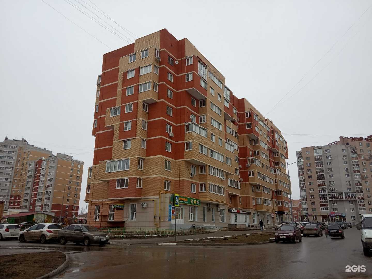 Отзывы на компанию Маугли в Липецке c фото - фотография 2 из 2