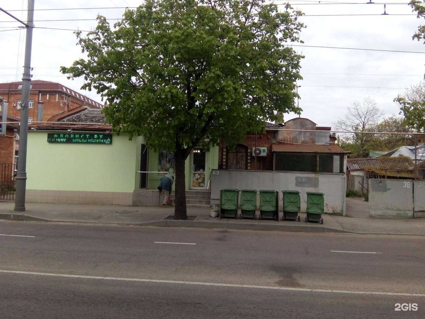 Отзывы на компанию Цветы и Коты в Краснодаре c фото - фотография 2 из 2