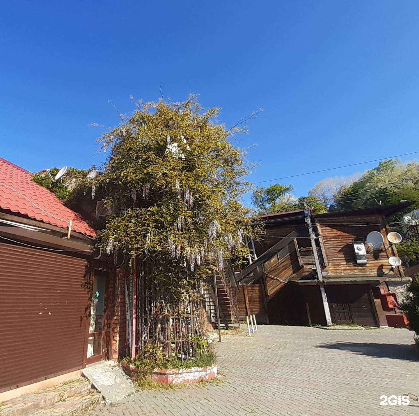 Отзывы на компанию Чайна-Таун в Сочи c фото