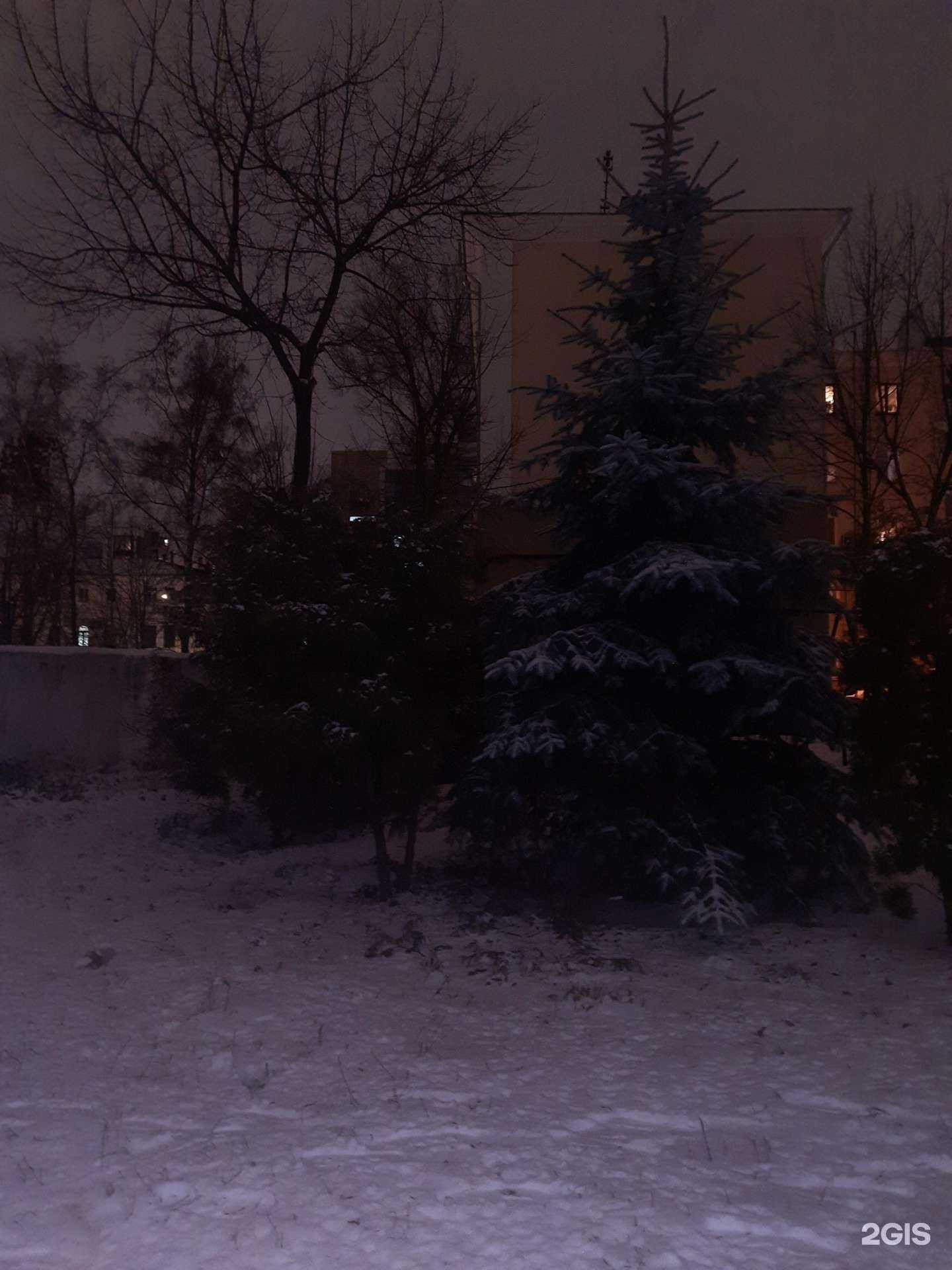 Отзывы на компанию Мускулспорт в Нижнем Новгороде c фото - фотография 2 из 2