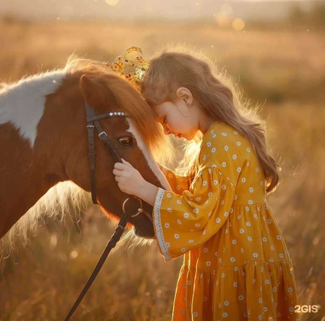 Отзывы на компанию Алькор  в Комсомольске-на-Амуре c фото