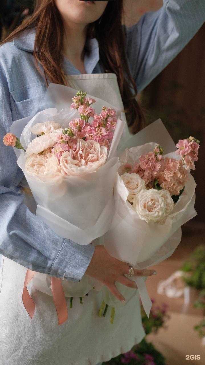 Отзывы на компанию Верба в Курске c фото