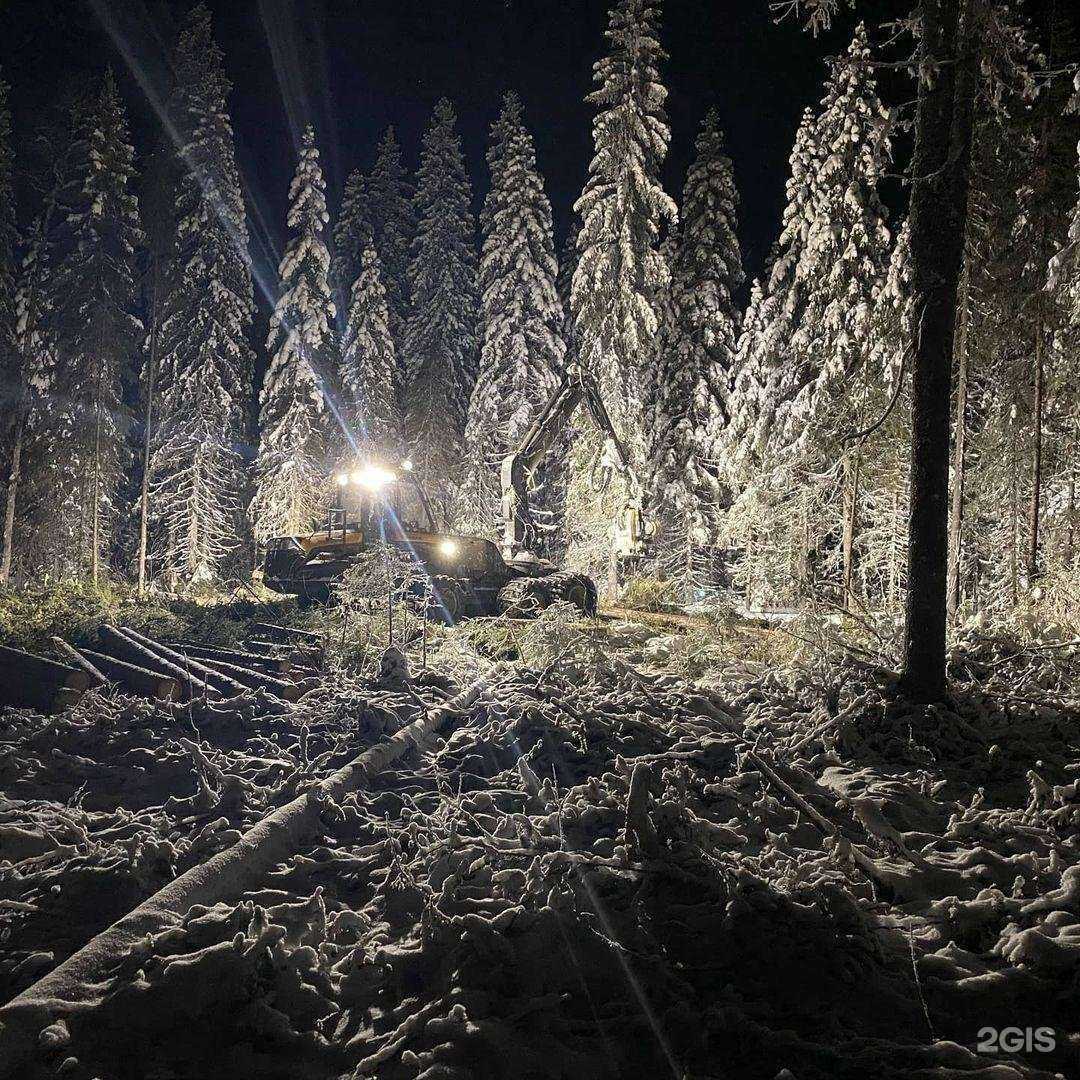 Отзывы на компанию Регион-лес в г. Архангельск c фото