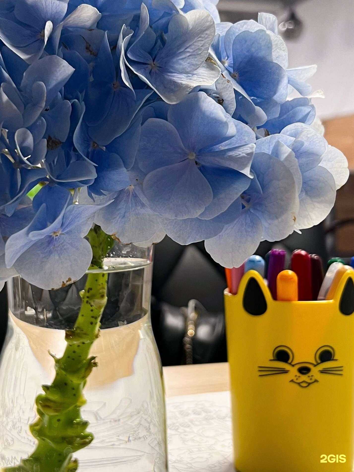 Отзывы на компанию Логопедический кабинет в Уфе c фото