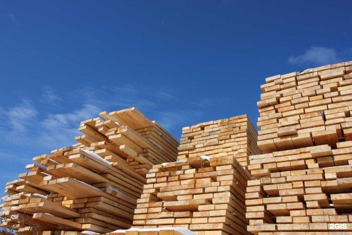 Отзывы на компанию Ёлы-палы в г. Пенза c фото