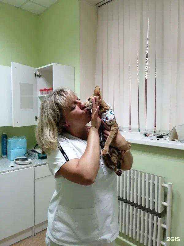 Отзывы на компанию Надомвет в Воронеже c фото