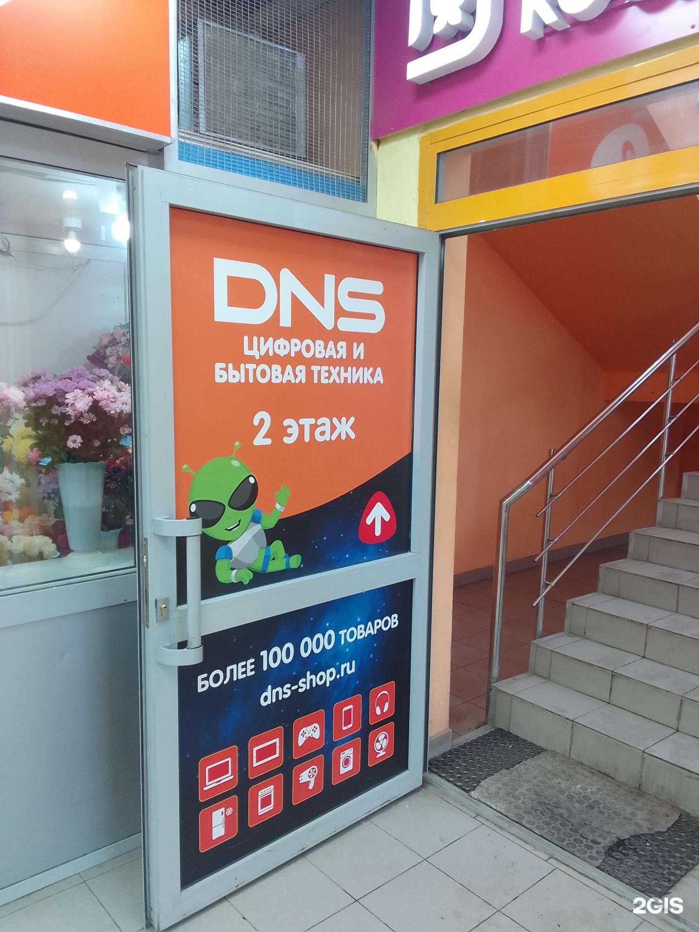 Отзывы на компанию DNS в Твери c фото