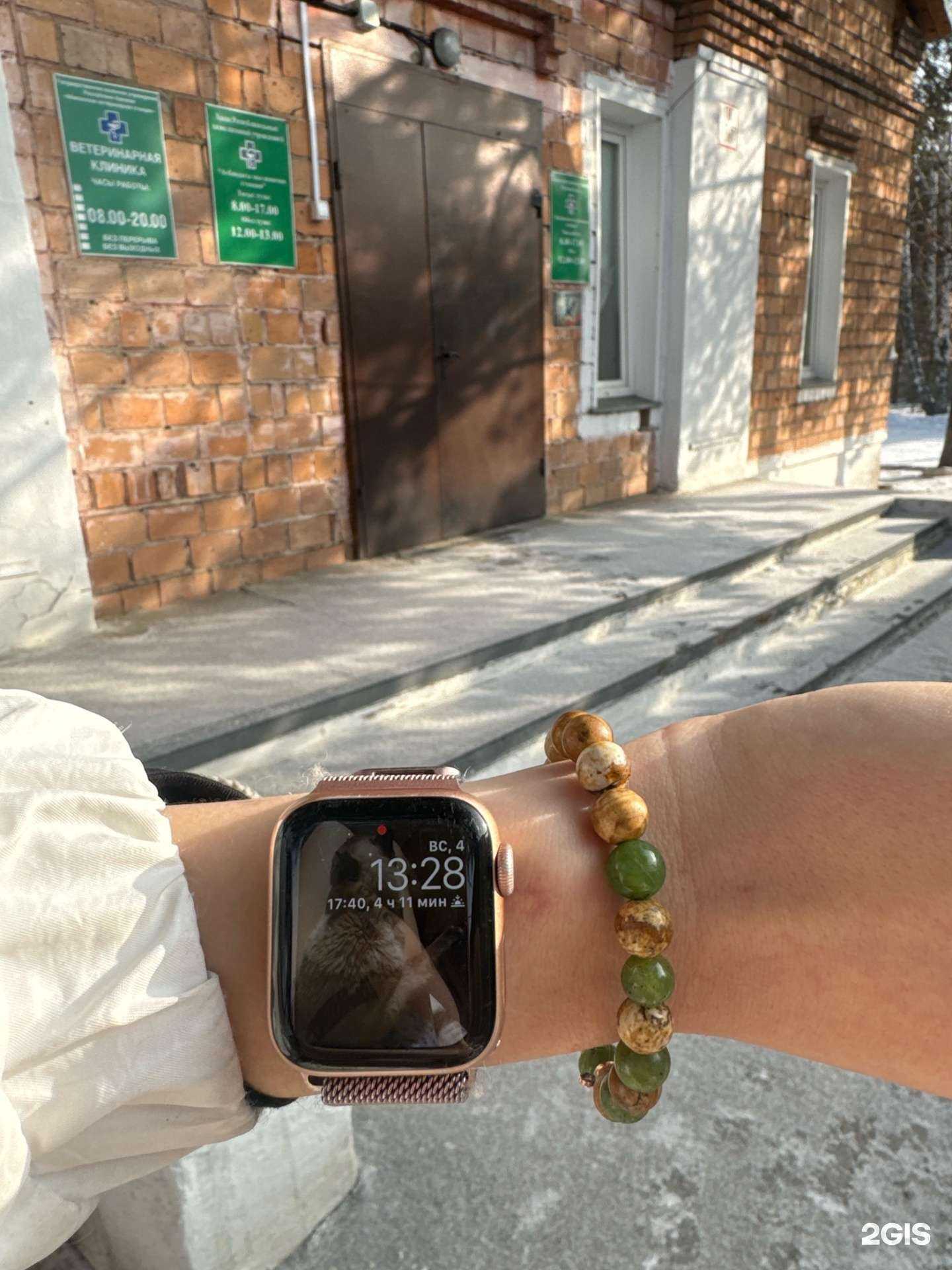 Отзывы на компанию Абаканская ветеринарная станция в Абакане c фото