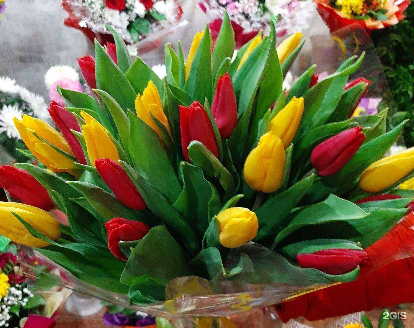 Отзывы на компанию Наталья в г. Красноярск c фото