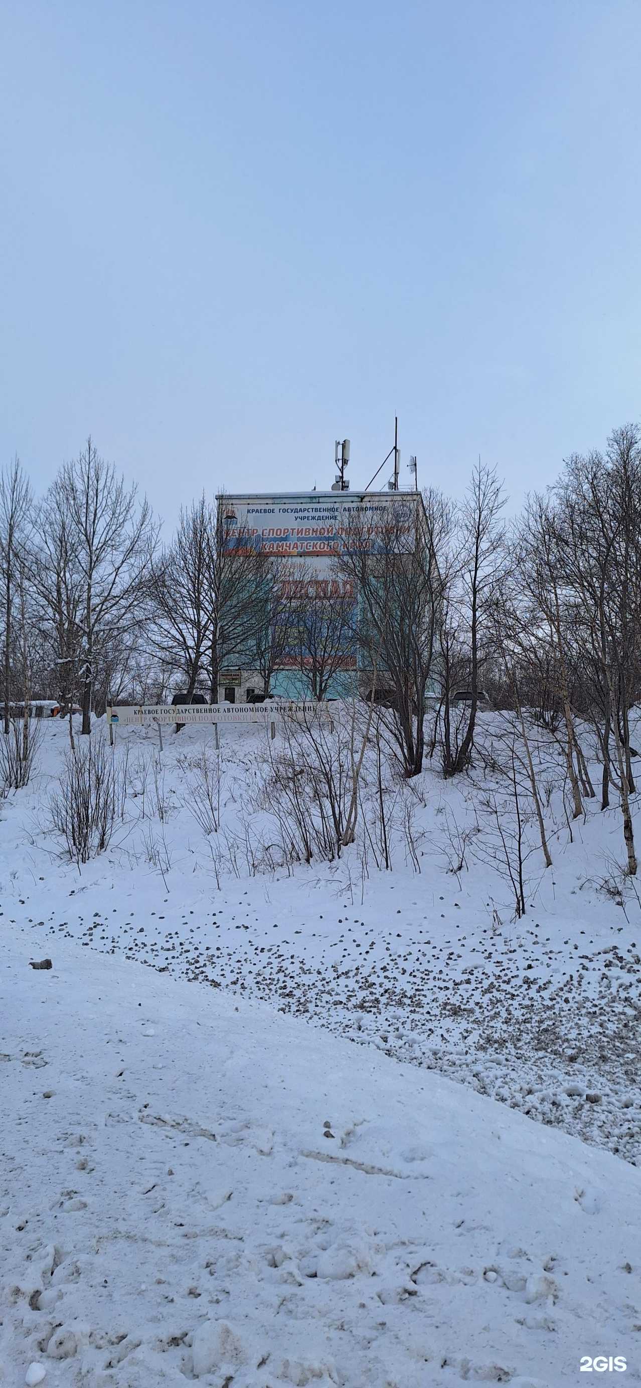 Отзывы на компанию Центр спортивной подготовки Камчатского края в Петропавловске-Камчатском c фото