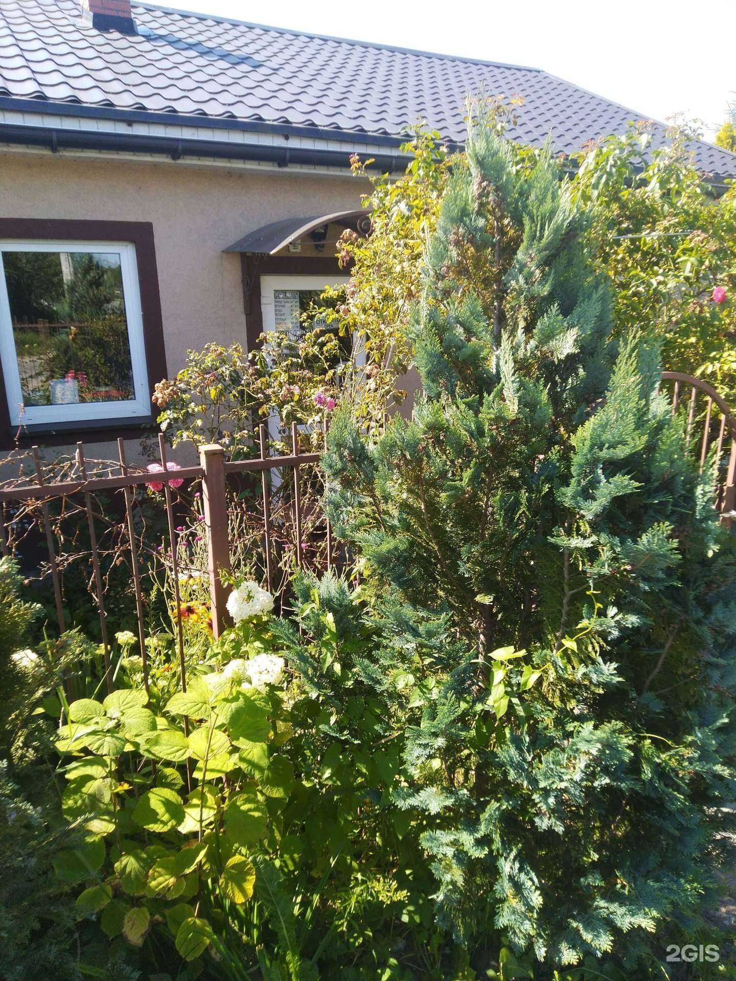 Отзывы на компанию Парикмахерская в Калининграде c фото