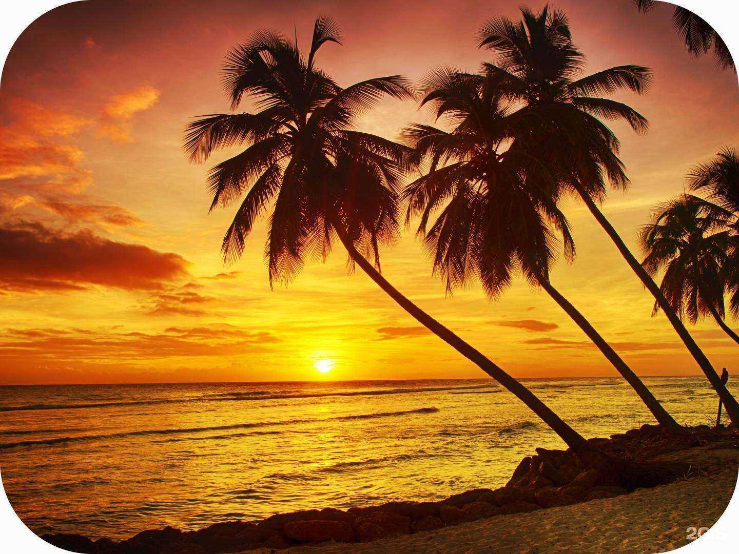 Отзывы на компанию Трио Мебель в г. Родники c фото